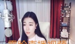 李帆鉴赏家以前爆料视频,揭秘艺术品鉴赏背后的故事